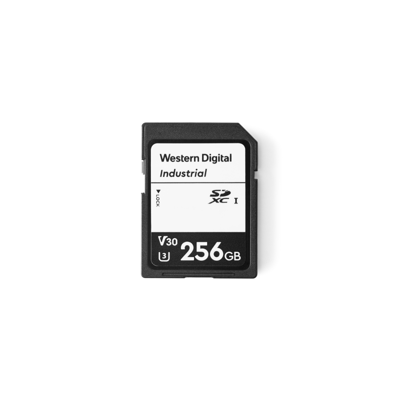SD card 256GB SDSDAF4-256G-I